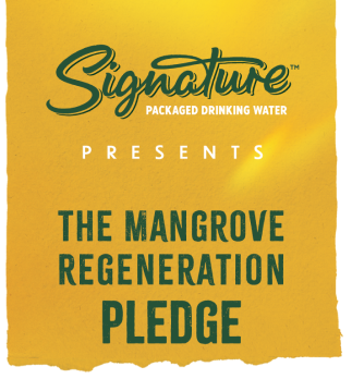 Signature Mangrove logo
