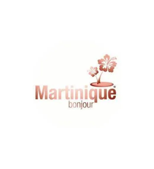 LOGO martinique bonjour- what to do in martinique 