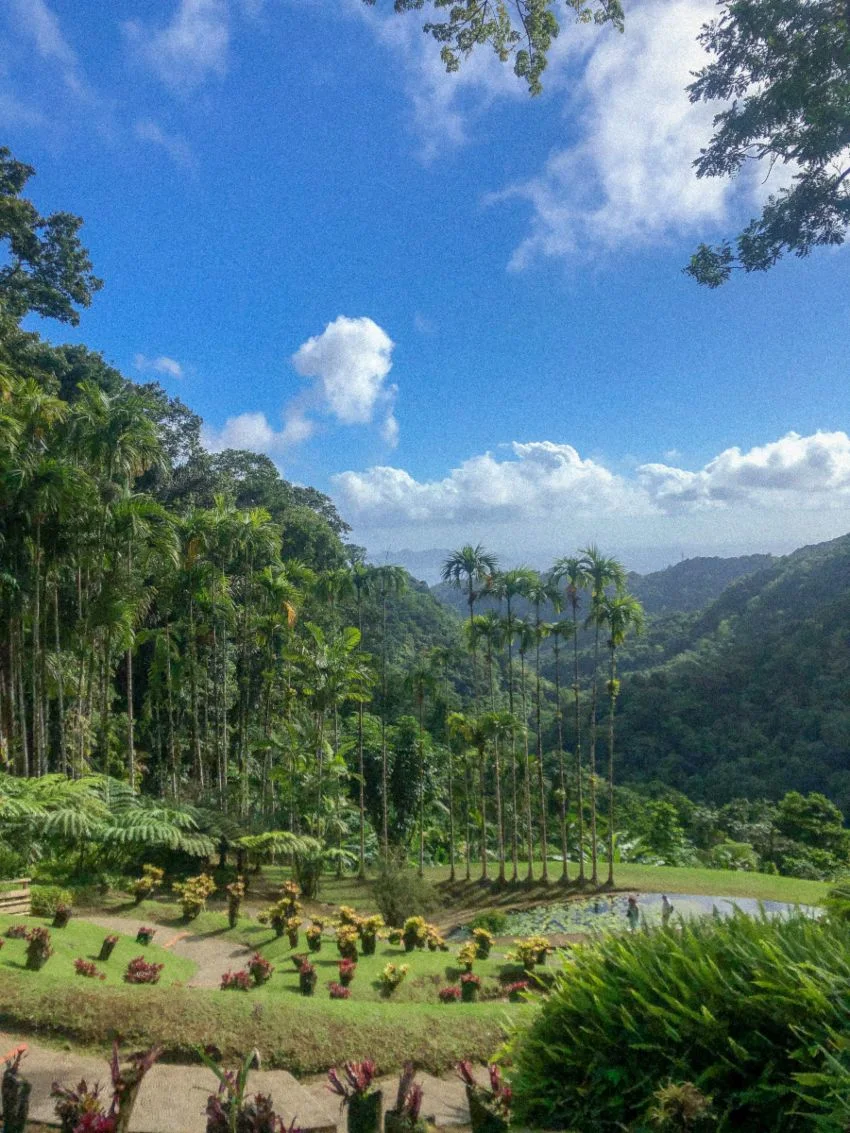 Jardin de Balata à visiter lors d'un road trip en Martinique
