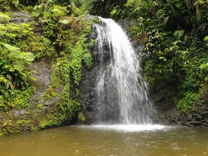 Cascade du Saut du Gendarme - Martinique