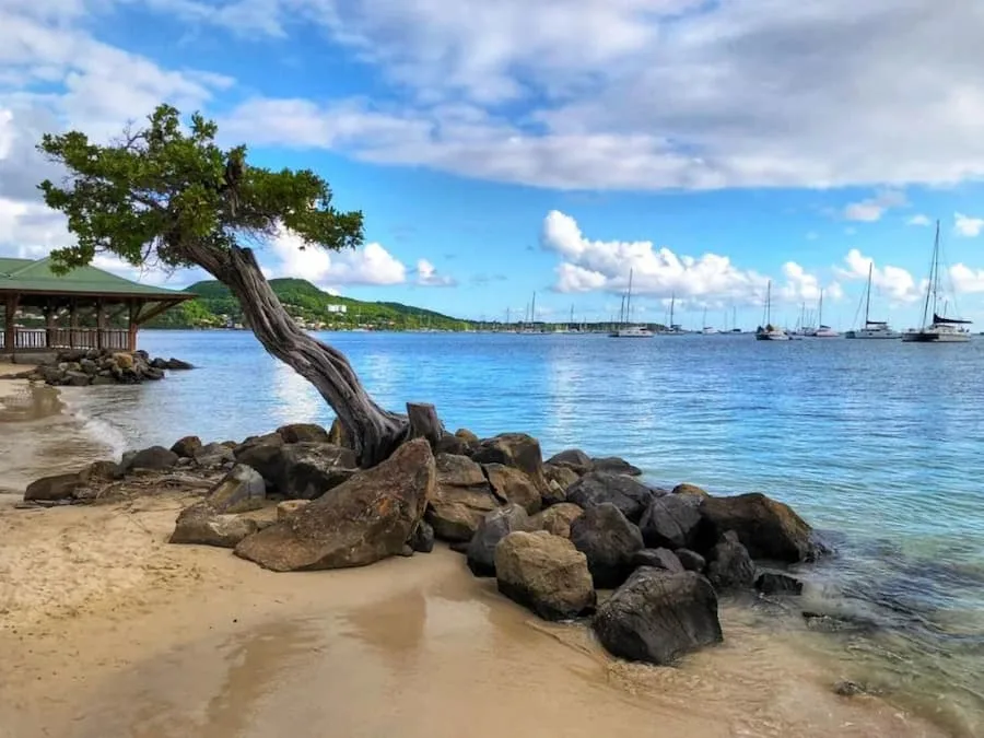 Plage de la Pointe Marin à Sainte-Anne - Martinique