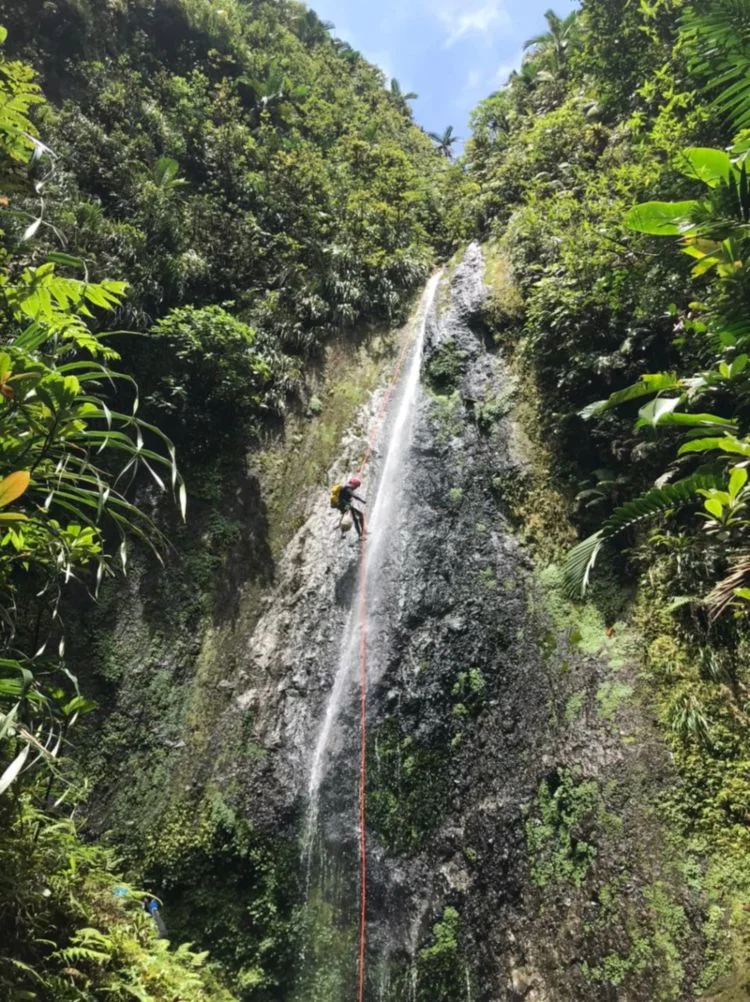 Canyoning Martinique - Saut de l'Alma