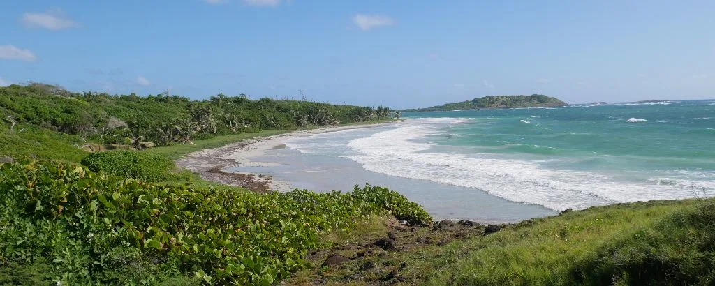 Trace des Caps - Randonnée Martinique