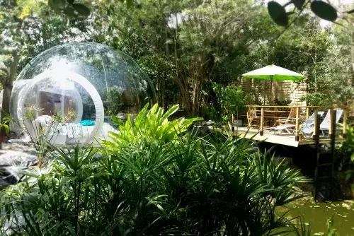 domaine des bulles Martinique