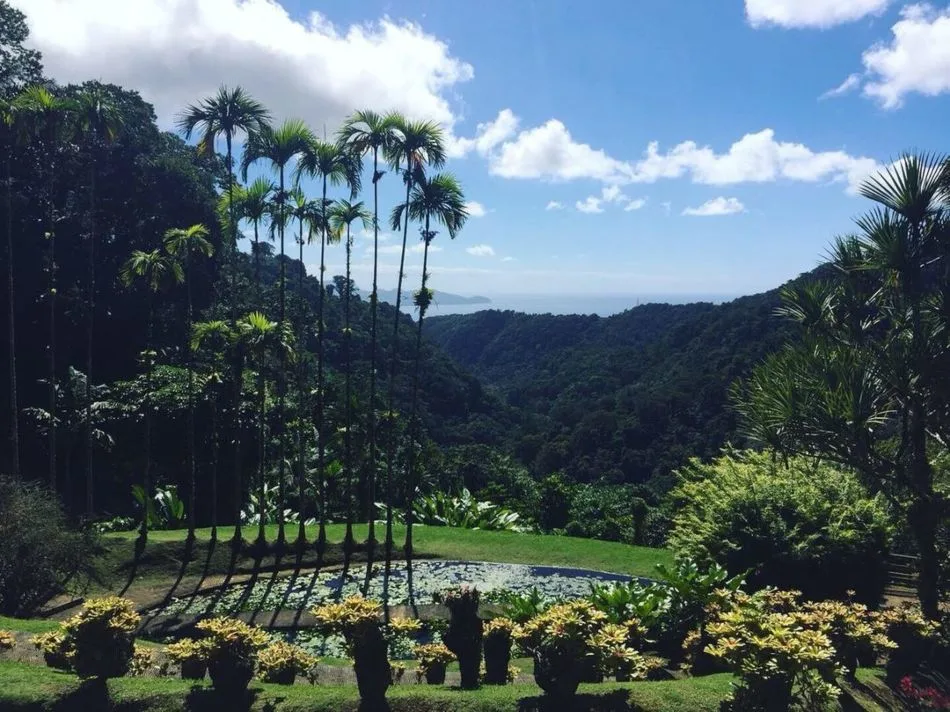 Jardin de Balata à voir avant le Saut du Gendarme - Martinique