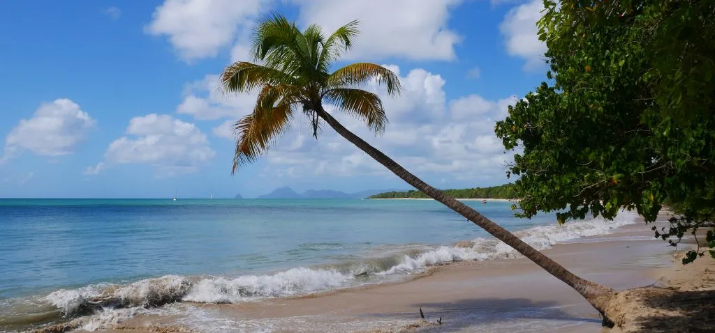 Grande Anse des Salines à Sainte-Anne - Martinique