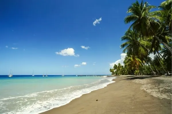 Anse Carbet Plage Martinique