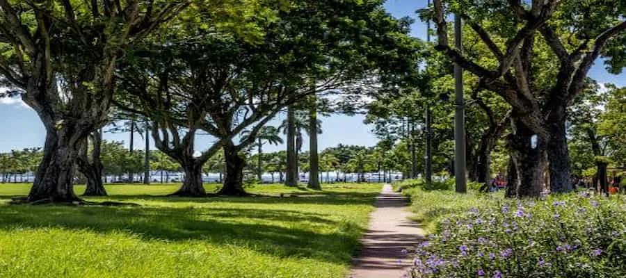 parc Savane en Martinique à Fort-de-France 