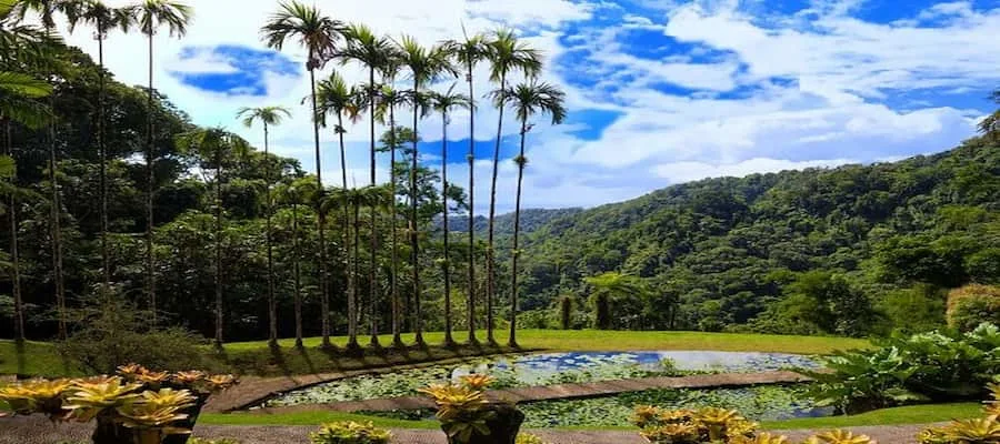  Jardin de balata en Martinique à Fort-de-France 