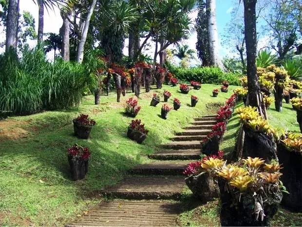 Parcs-Jardins-Martinique