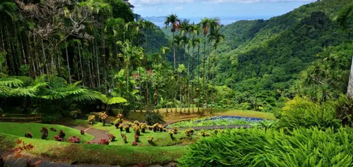 jardin balata Martinique