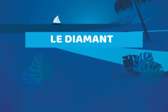 Agence Le Diamant