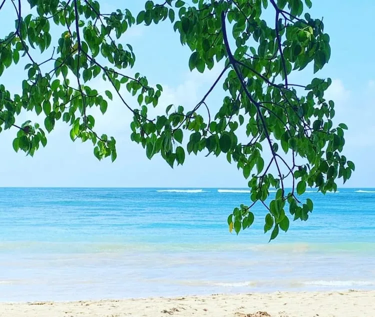 Plage de la Tartane Martinique