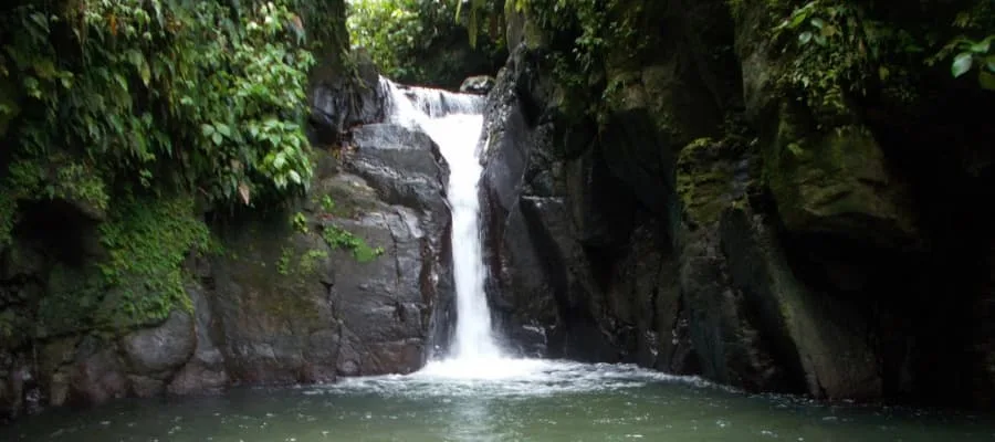 cascade de la ravine baron Martinique jumbo car