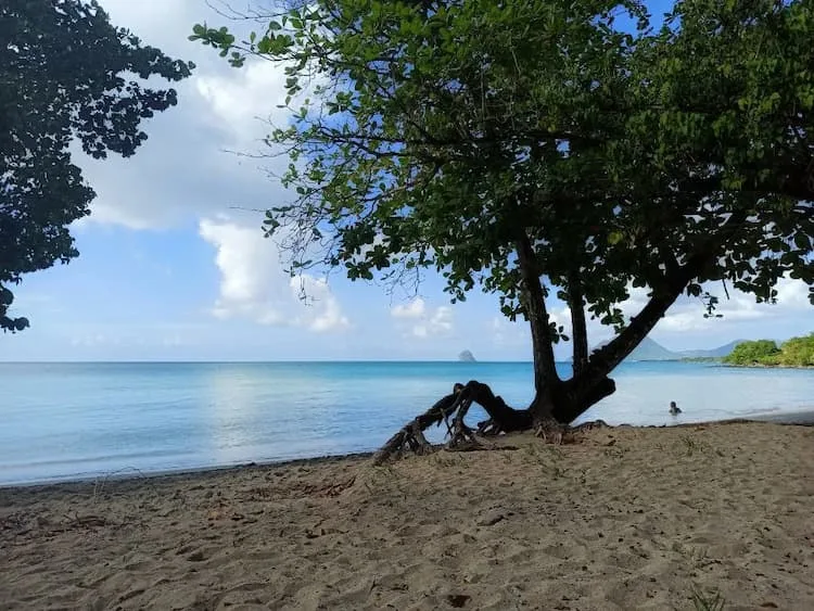 Anse Mabouya - Sainte-Luce - Martinique