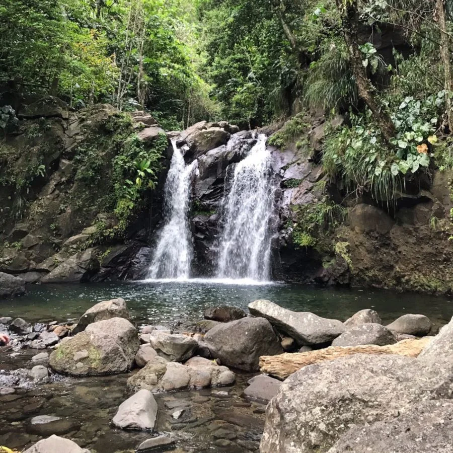 Première cascade de Didier - Top cascades Martinique