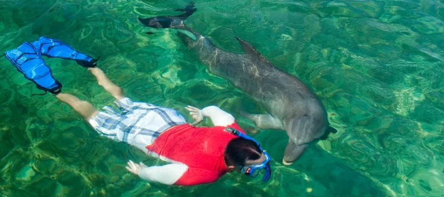 Meilleures activités et loisirs en plein air à Trois Ilets en Martinique