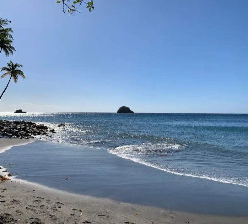 Anse Couleuvre - Plage de Sable Noir en Martinique