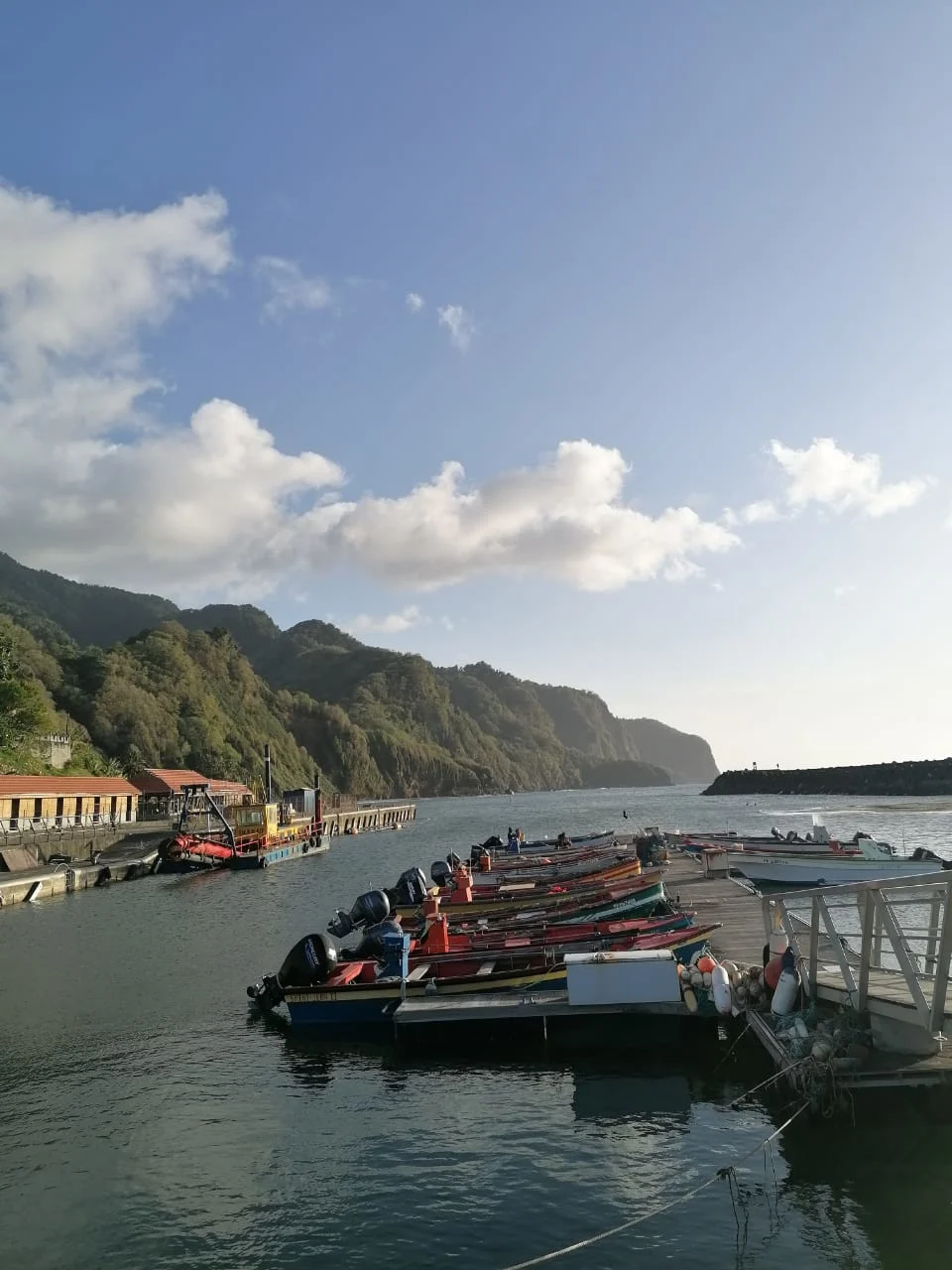 Randonnée du Prêcheur à Grand'Rivière - Martinique