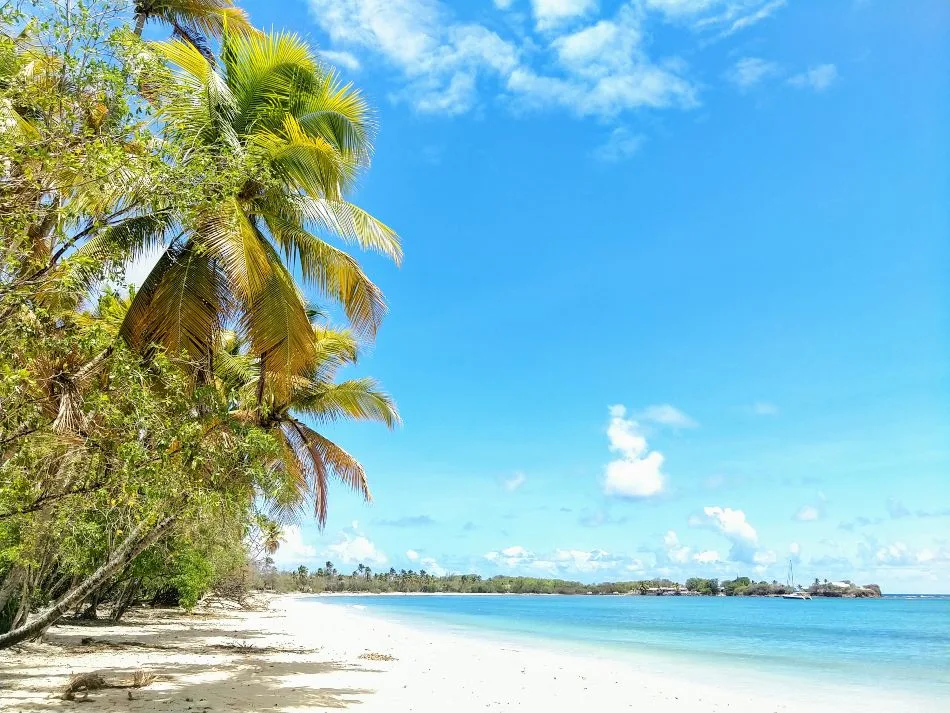 Farniente à la plage des Salines à Sainte-Anne - Martinique