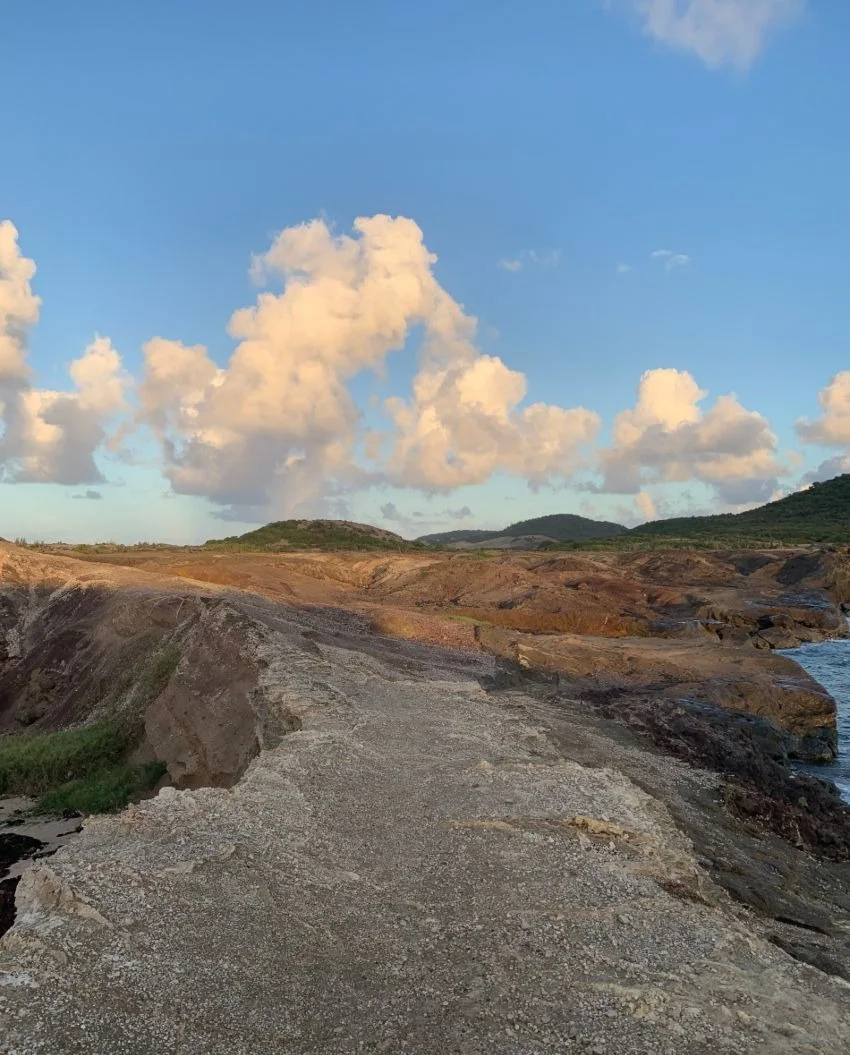 Savane des Pétrifications Sainte- Anne - Martinique