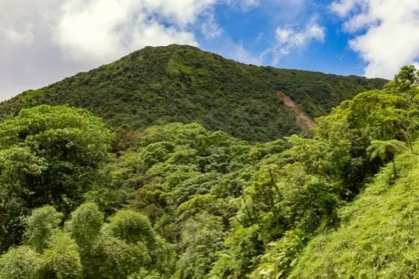 Randonnées Martinique Fond Saint Denis