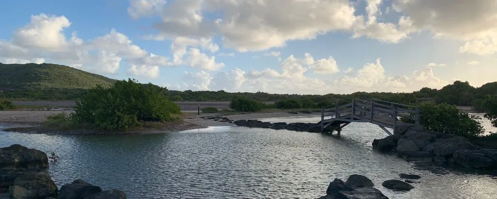 Savane des Pétrifications - Début Randonnée - Etang des Salines