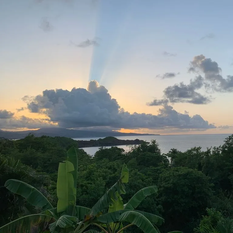 tartane-martinique-plages-paradisiaques