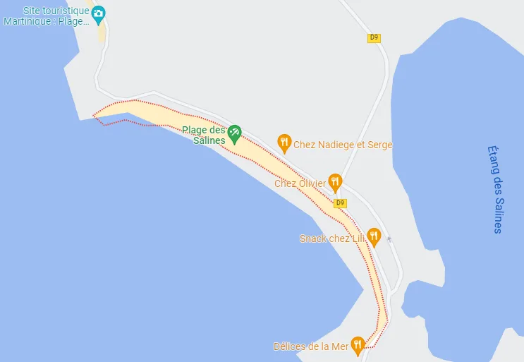 Carte de la plage des Salines en Martinique