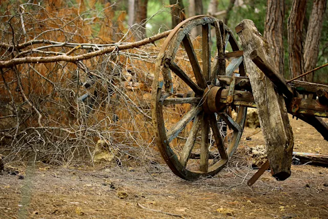 5 Powerful Ways to Reinvent Yourself When Feeling Stagnant