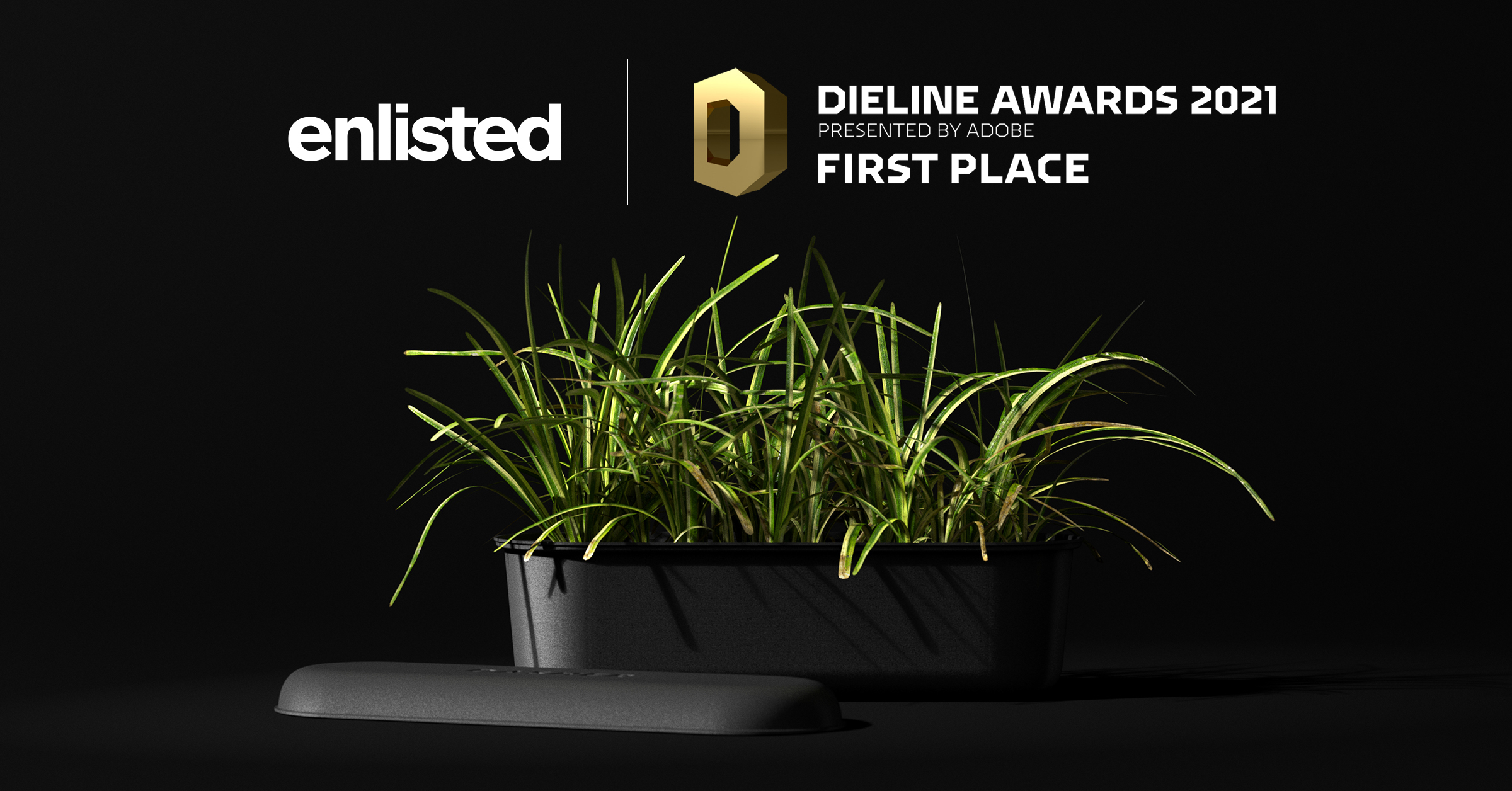 Enlisted Dieline Awards 2021