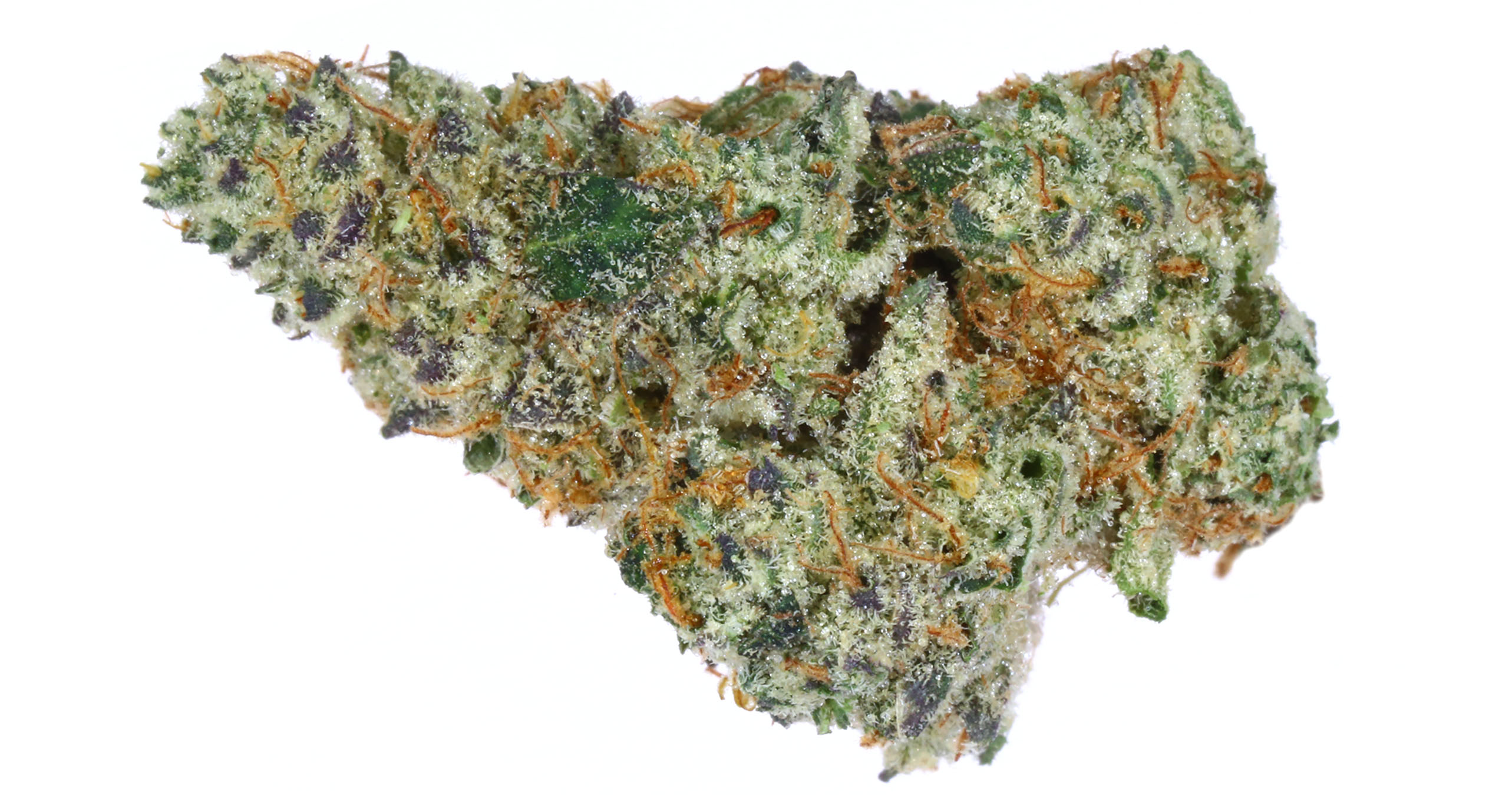 Best Cannabis Strains in 2021