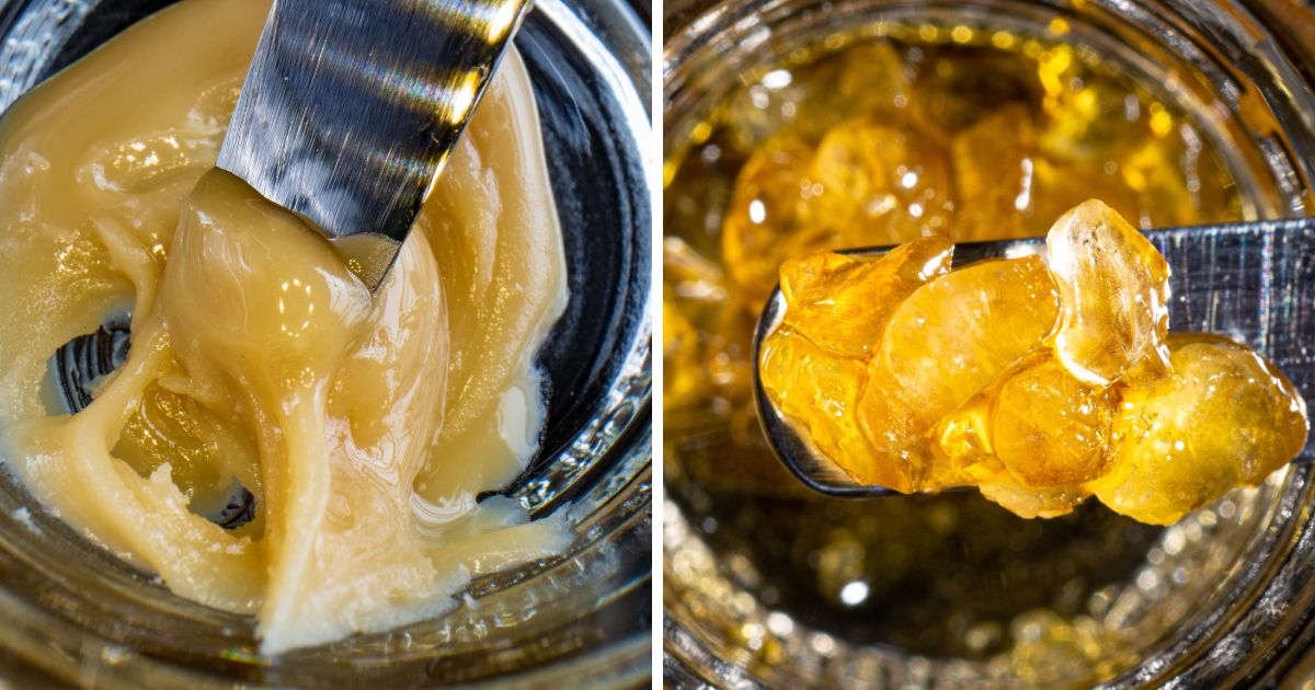 BHO Versus Rosin: Which is Better?