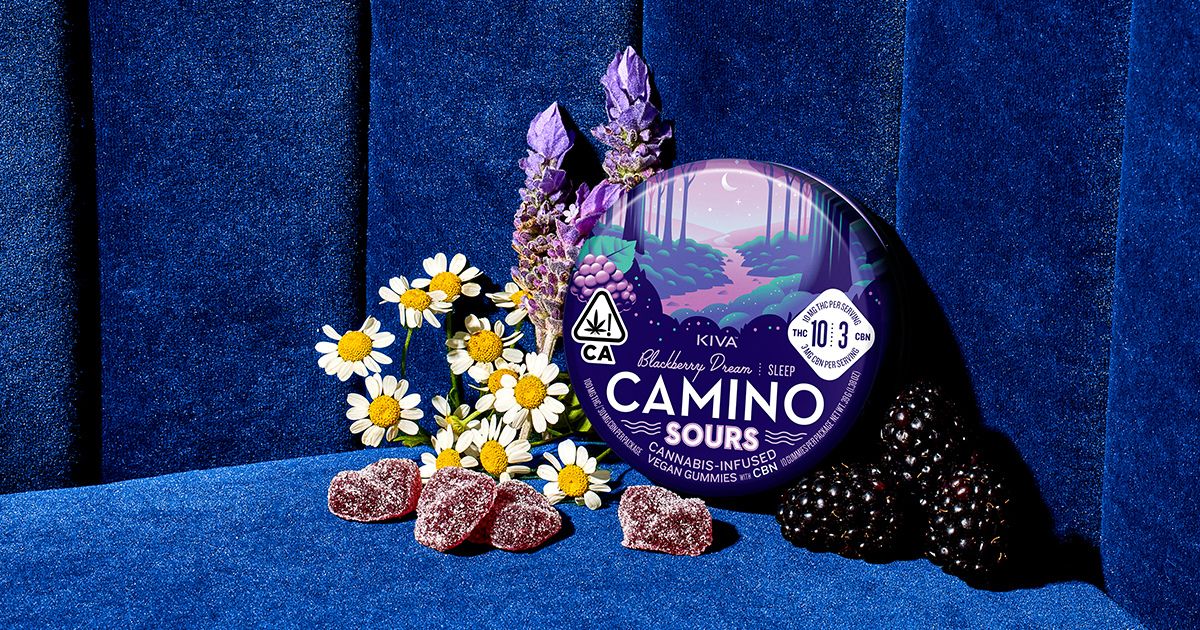 Camino Sours Blackberry Dream