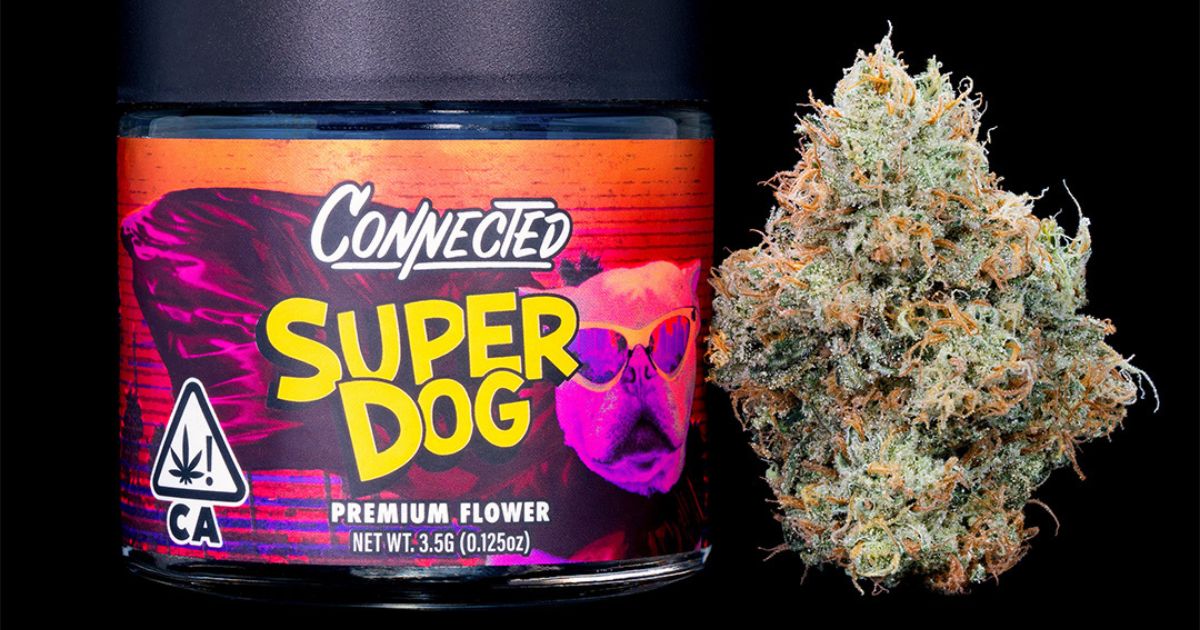 Super Dog - Connected