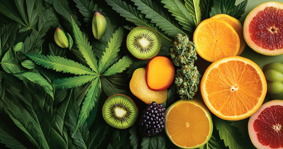 The Role of Flavonoids in Cannabis: More Than Just Taste