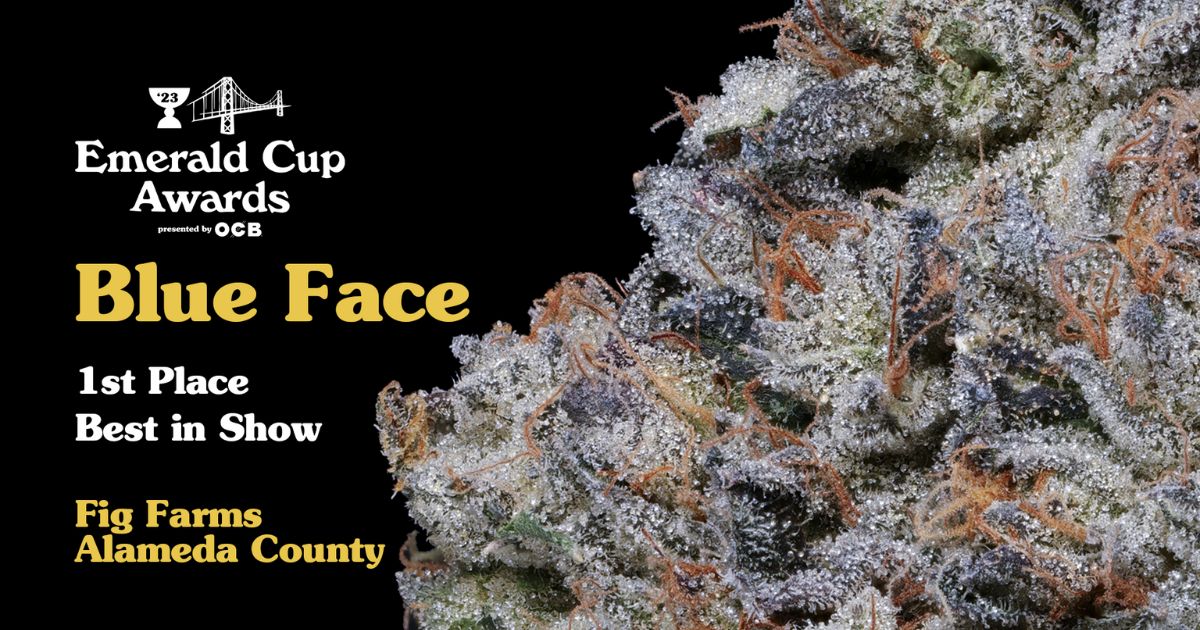 Emerald Cup Awards 2023 - Solventless, Live Rosin, Vape Shop