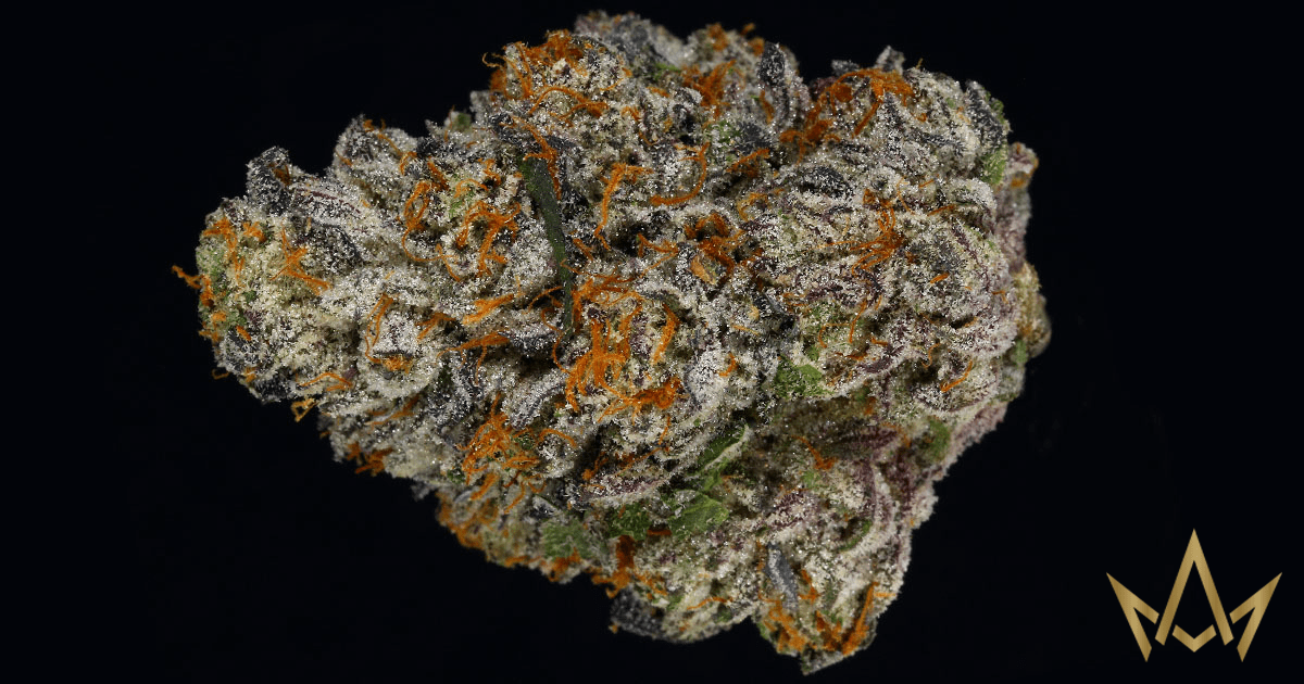 Alien Labs : Purple Urkle x Planet Dosi