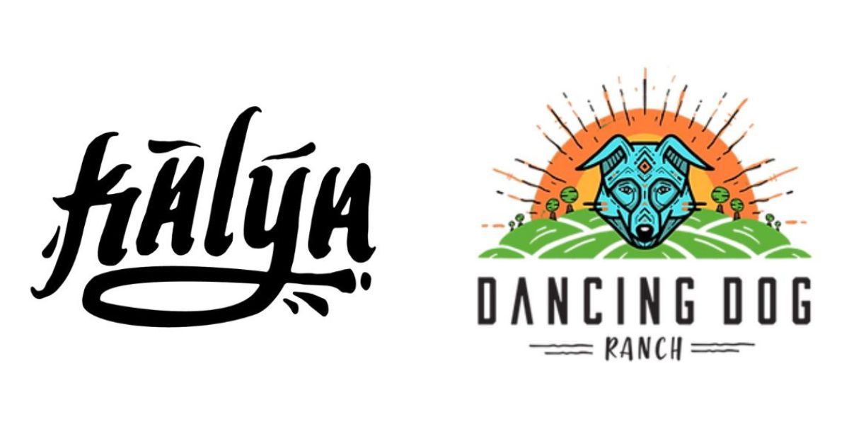 Kalya x Dancing Dog Ranch