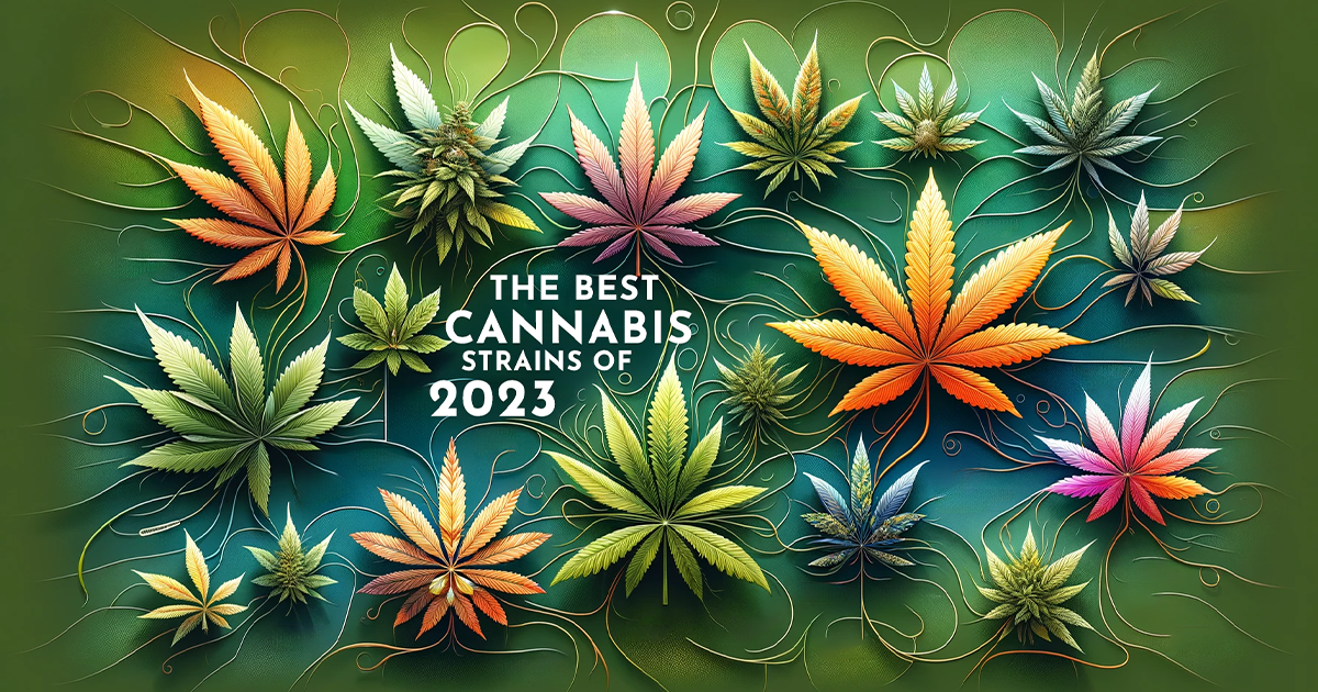 Explore the Best Cannabis Strains of 2023