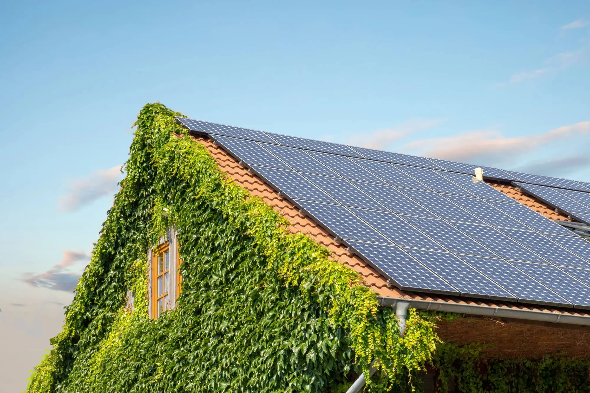 So erzeugen Sie umweltfreundlichen Solarstrom