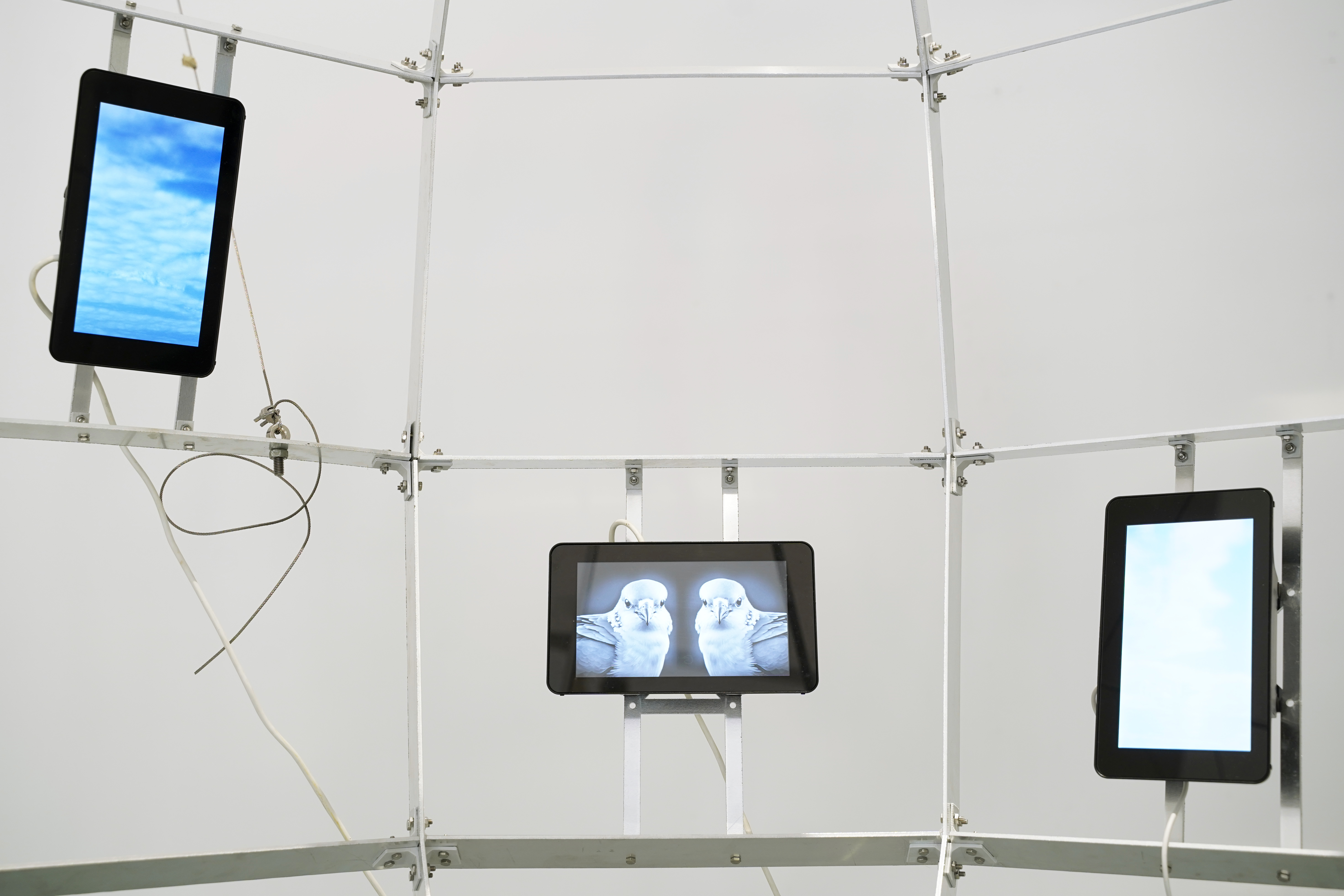 Volumes: Ties of Allegiance, U10, Belgrade, 2023