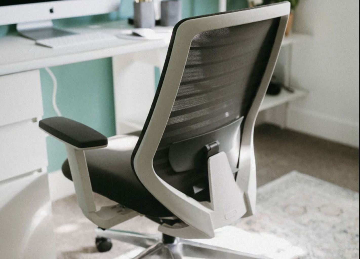 Branch Ergonomic Chair