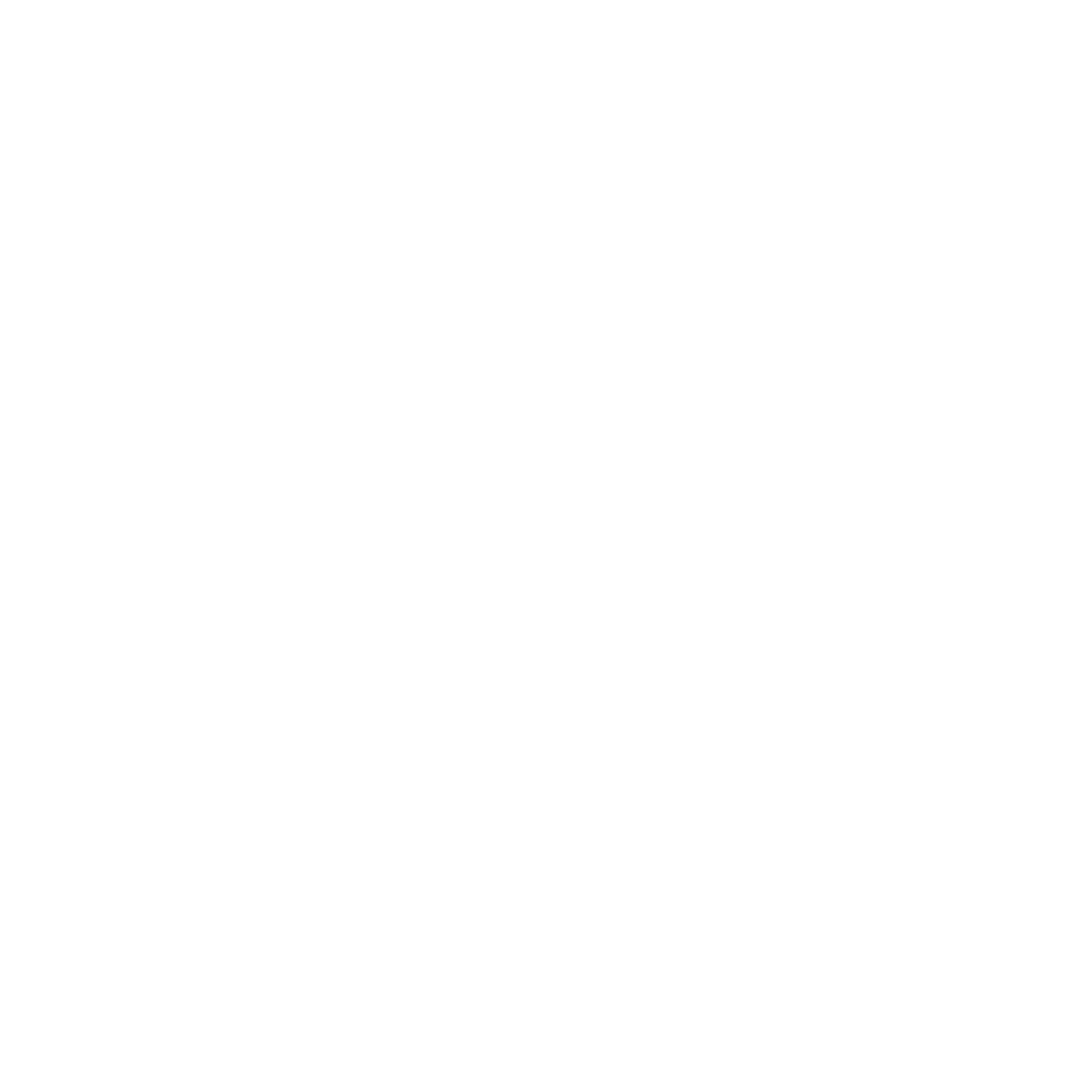 Moneybag Icon