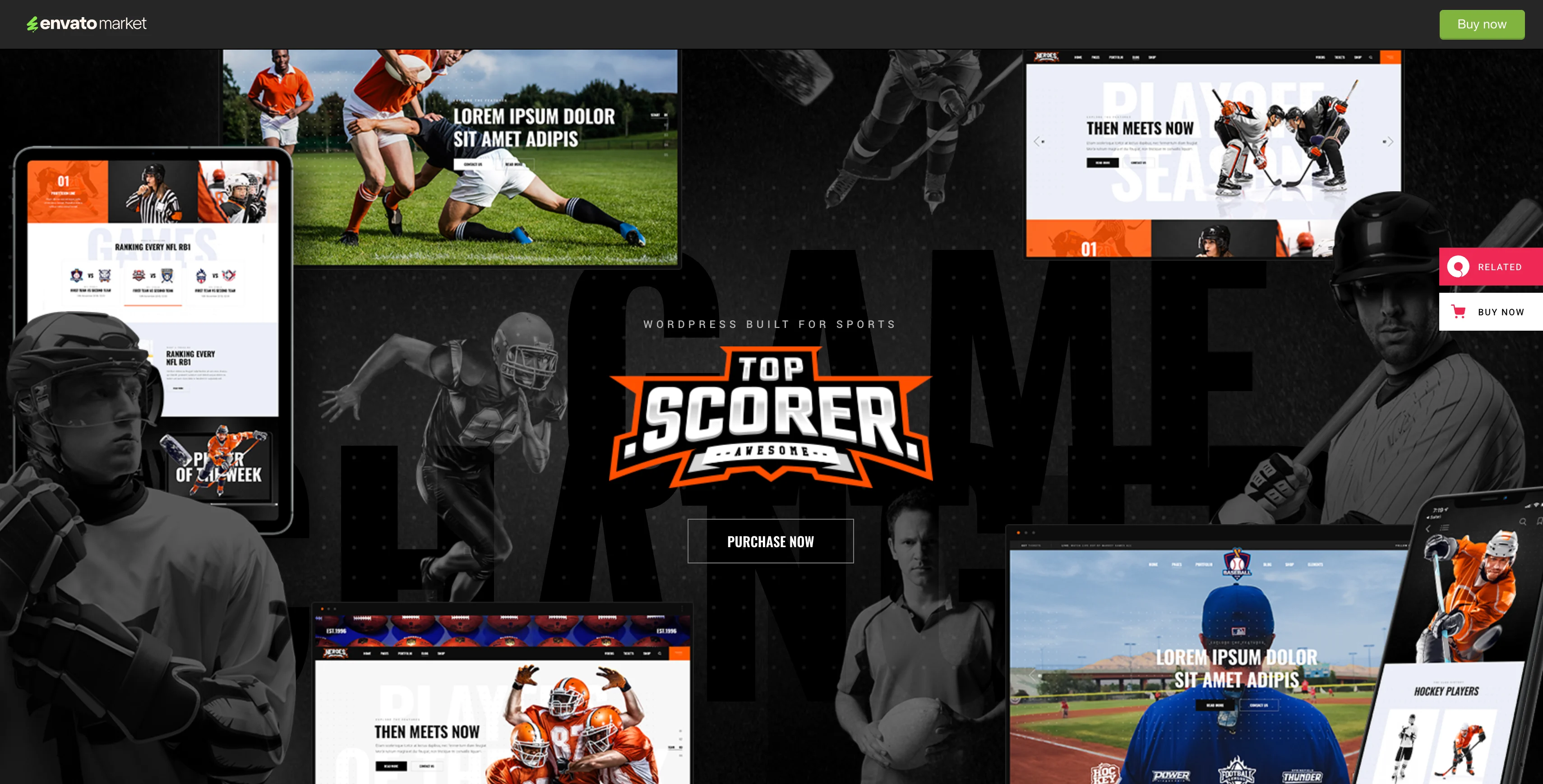 A screenshot of top scorer sports website theme preview