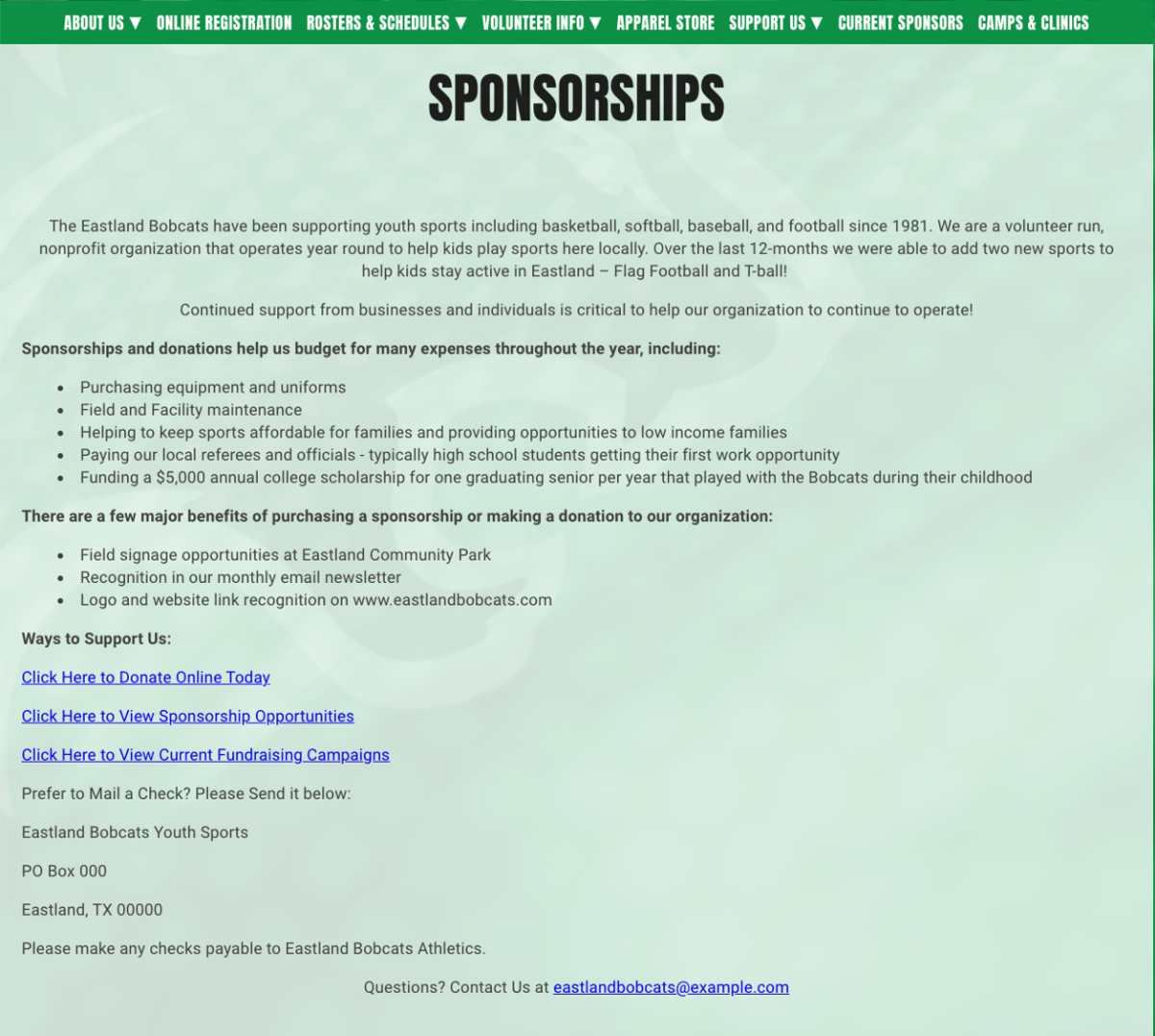 a youth sports sponsorship page on a website with different packages