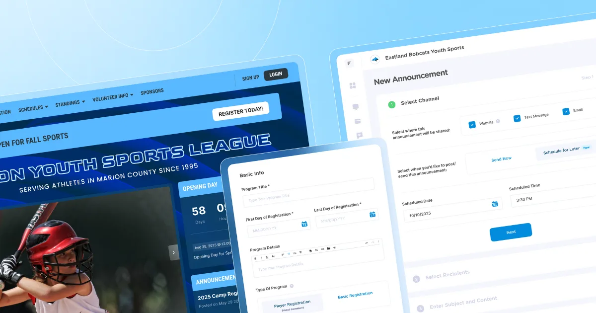Illustration to show sports league management software platform for admin