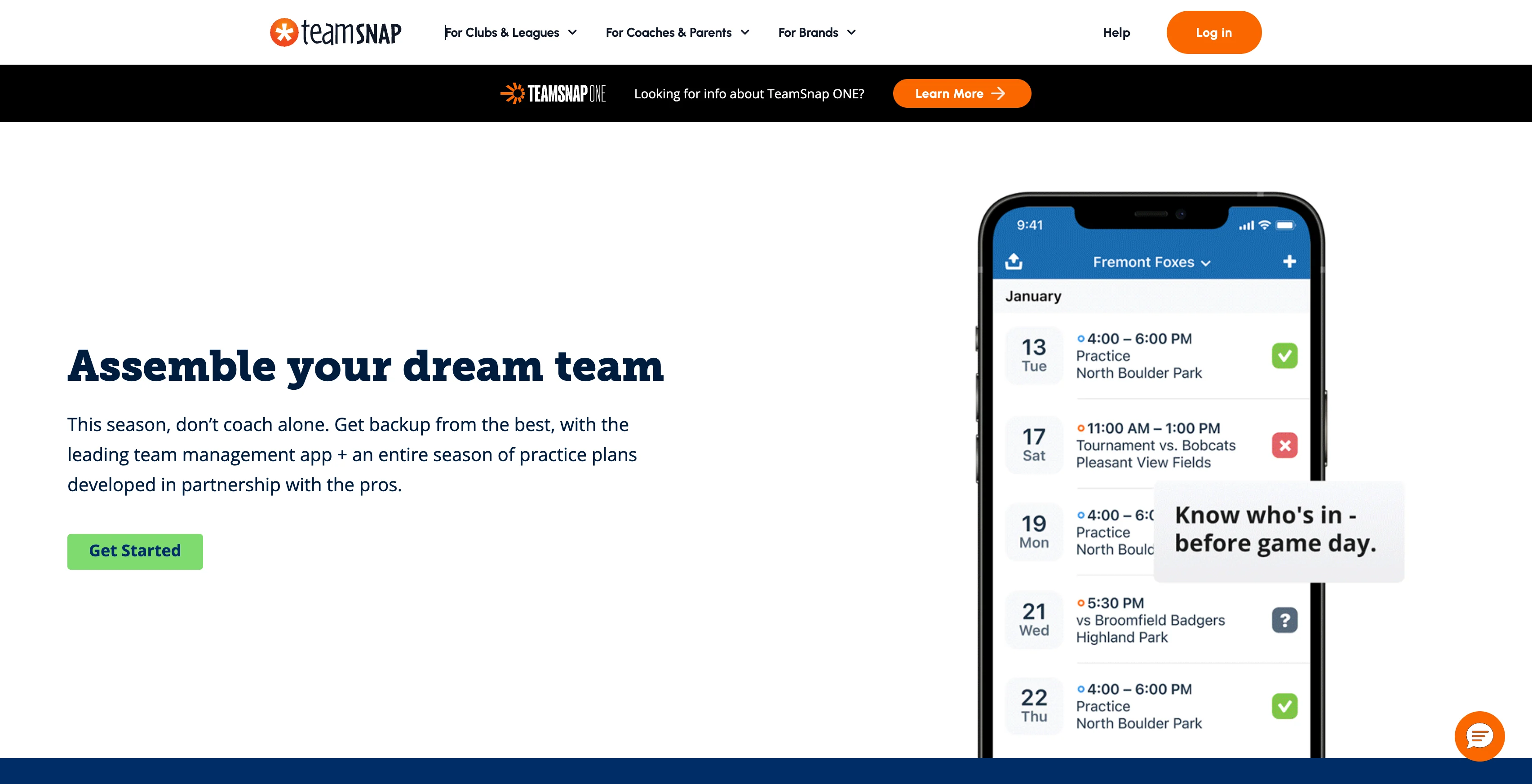 A screenshot of TeamSnap for Teams landing page