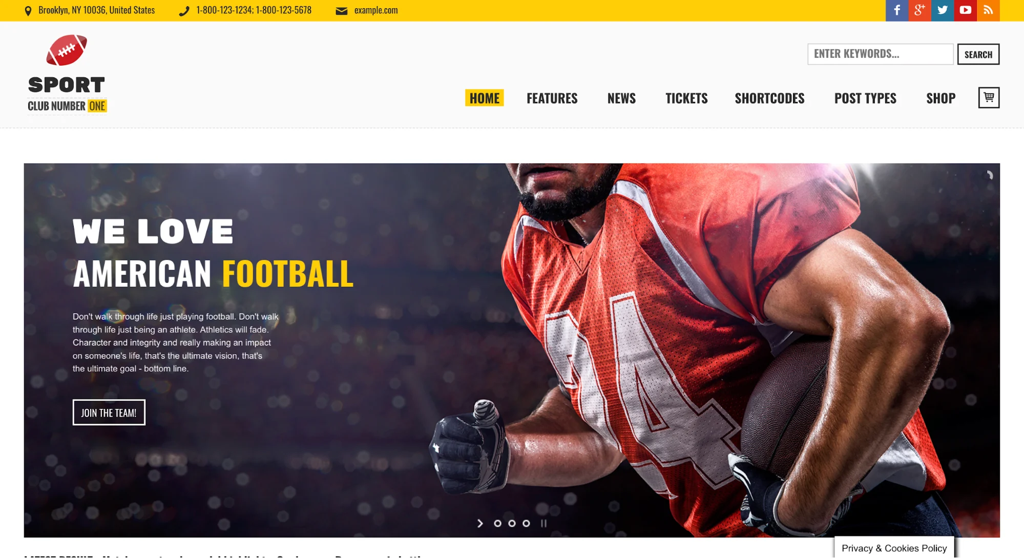 Screenshot of Sports Club Wordpress Theme