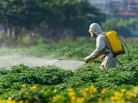 Spraying pesticide